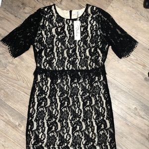 Darling London black lace dress
